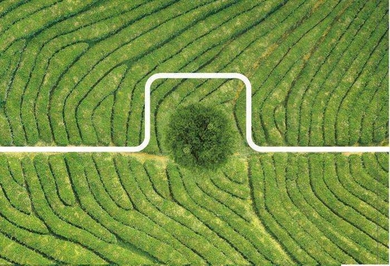Tta M6e Agriculture Drone Professional для распыления пестицидов и послепродажного обслуживания