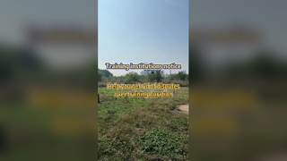 Дрон для точного опрыскивания сельскохозяйственных культур решает споры, связанные с обучением